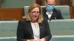 Rebekha Sharkie breaks down whle revealing sick baby grandson - November 2021 - Canberra Times