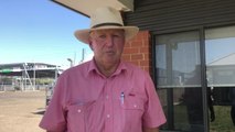 Steve Ridley - Yass Weaner Sale Report