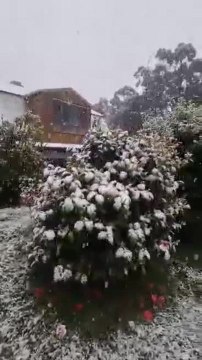 Snow falling at Pelverata after Antarctic blast brings cold weather to Tasmania - November 2021 - The Examiner