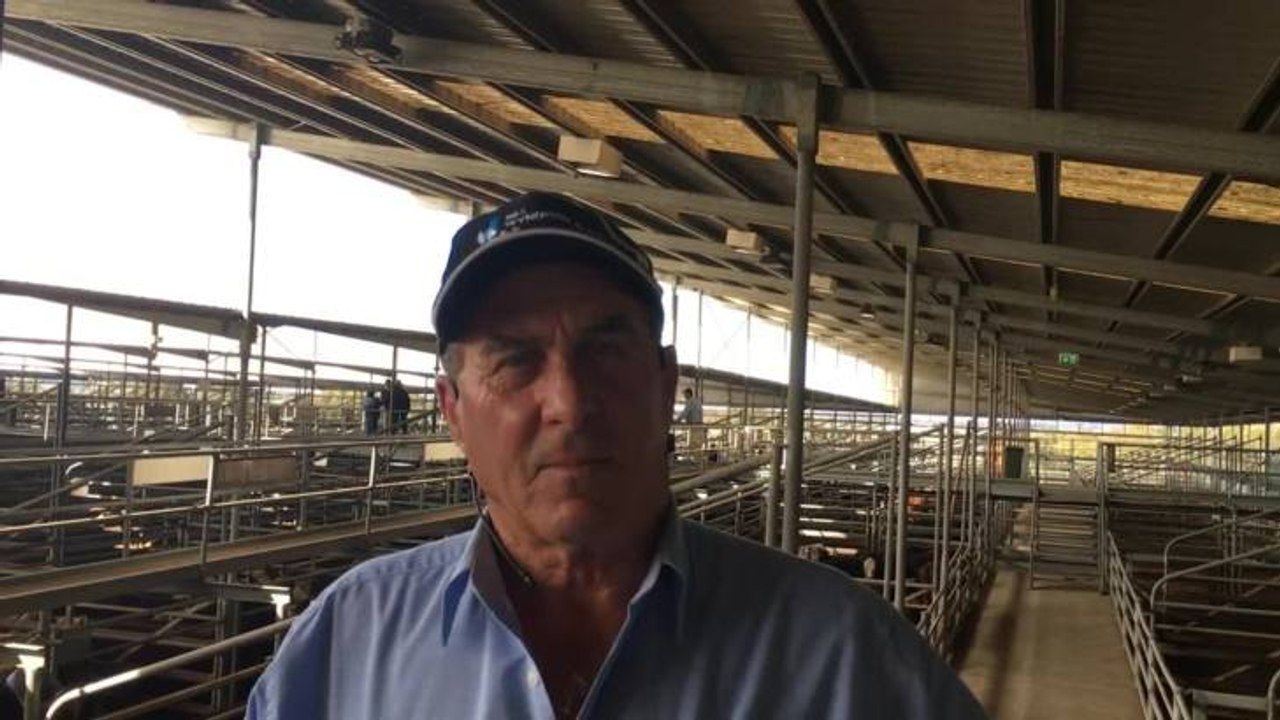 Bill Wyndham Feature Sale