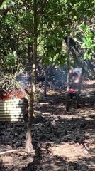 Russell Islanders fined by Queensland fisheries