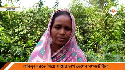 বাঘের পায়ের ছাপ দেখে আতঙ্ক!