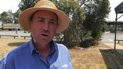 Stock & Land: Auctioneer Jamie McConachy speaks after the Colac steer weaner sale