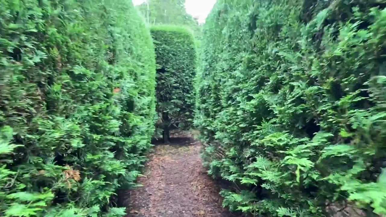 Harper's Mansion maze