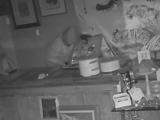 Junee antiques burglary