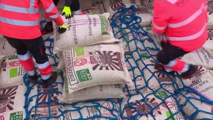 Frachtsegler: 10 Cent mehr für das Pfund Kaffee, dafür Tonnen CO2 gespart