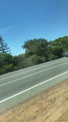 A man in a stolen vehicle attempted to evade police through the Peel region