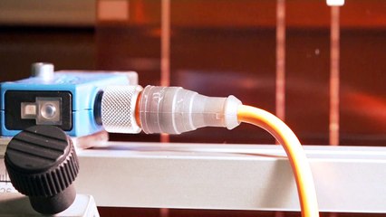 Die Zukunft wächst im Wald: Start-up baut Akkus aus Lignin