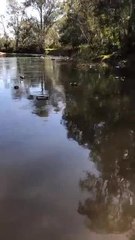 Groceries floating down the river - Social clip
