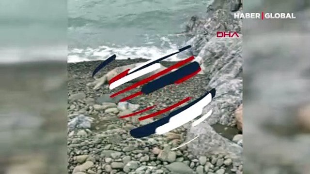 Hatay'da Akdeniz foku cep telefonu kamerasına yansıdı