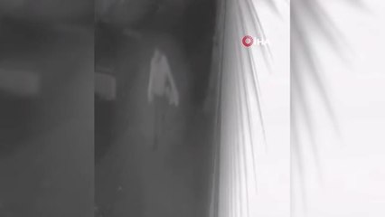 Diyarbakır'da 19 hırsızlık olayına karışan şüpheli, polisin titiz çalışmasıyla yakalandı
