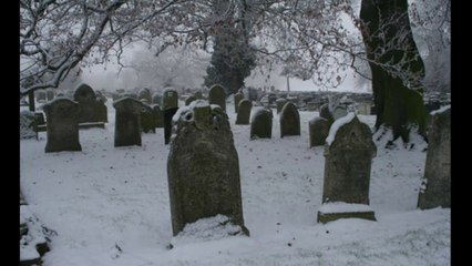 Cold Hard Marble Stone Dr. Robert Ownby