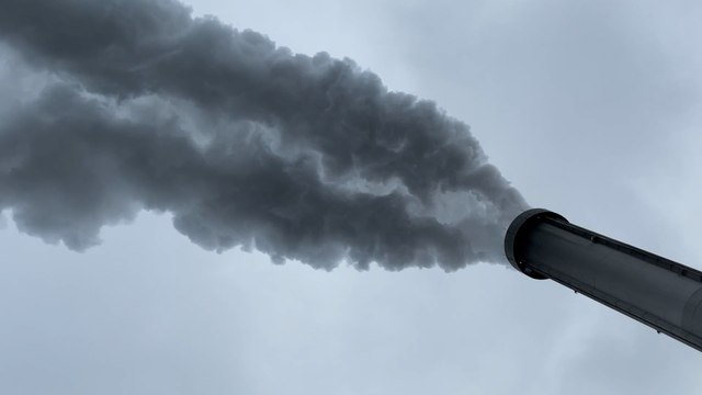 Taux de dioxines records : «A Ivry, les oeufs de poule sont impropres à la consommation»