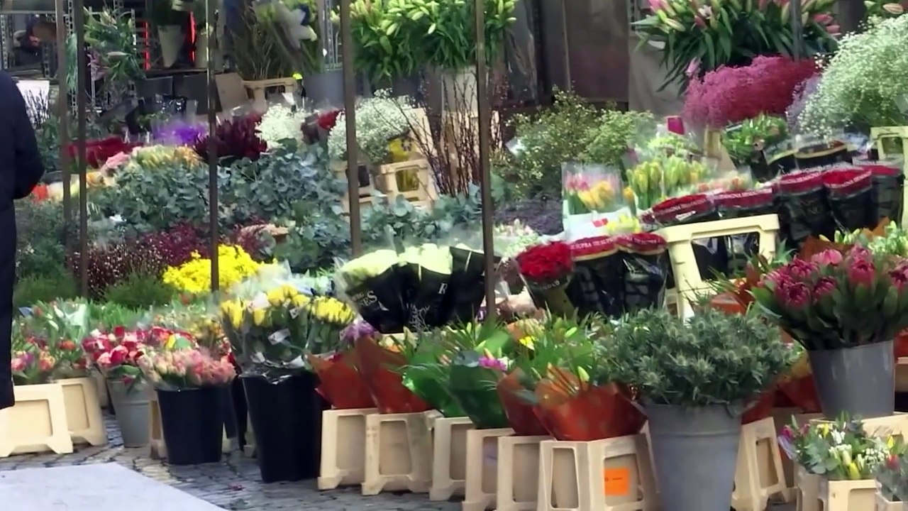 Der Duft der Freiheit: Erster Tag ohne Covid-Beschränkungen in Schweden