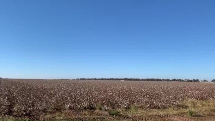 Kieran O'Keefe with drone 2019