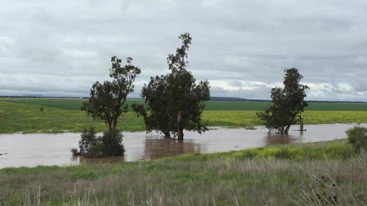 Mooki River floods in Breeza in 2016.