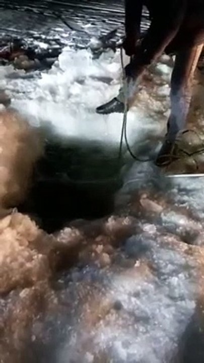 Très belle prise...