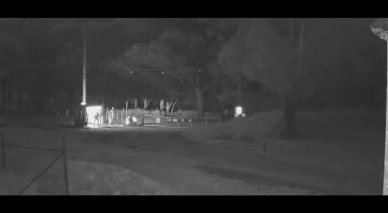 CCTV released In Singleton suspicious fires investigation | December 7 2021 | Newcastle Herald
