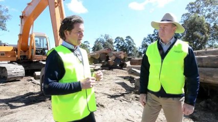 A snapshot of Ironwood Australia's Pampoolah timber mill