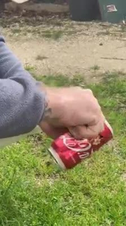 Snake in Coke can