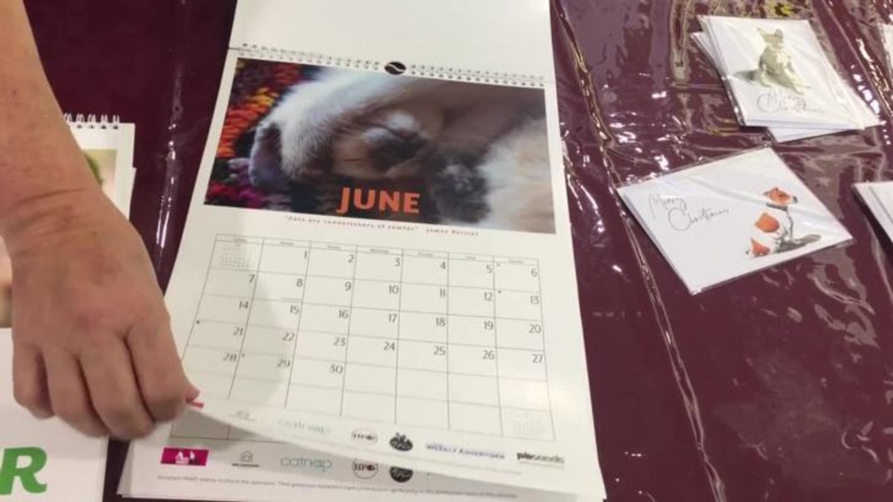 Horsham PAWS 2020 Calendar video Dailymotion