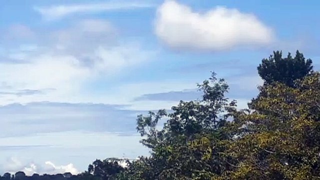 Airbus A330 PR-AIU vindo de Campinas e Airbus A321 PT-MXP vindo de Brasília