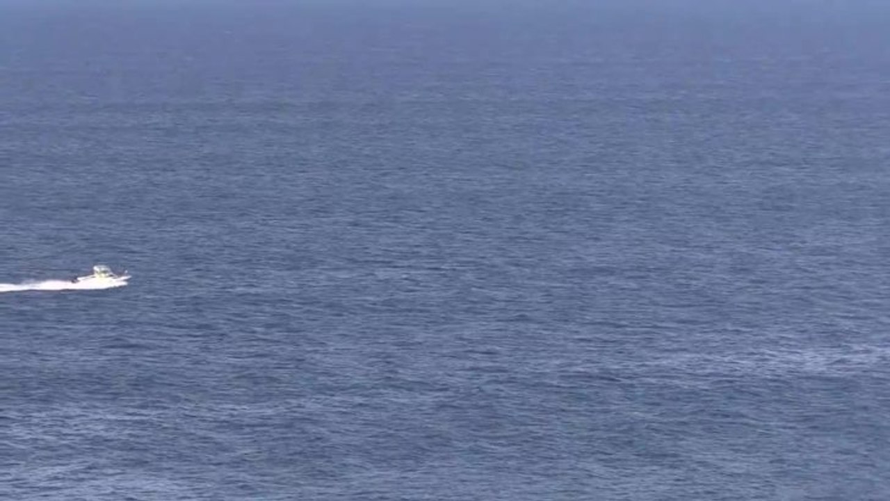 Times, Victor Harbor - Boat strikes three whales off the Bluff, Victor Harbor