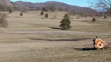 "Raduno no vax al Centro sportivo equestre Rocca di Papa danno immagine per Italia"