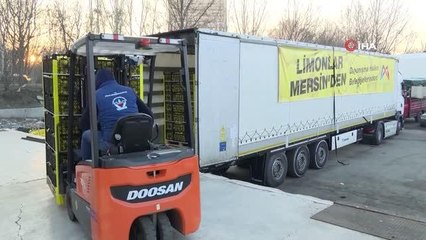 ABB, Mersinli limon üreticilerinden alınan limonları sosyal yardım alan ailelere ulaştırdı