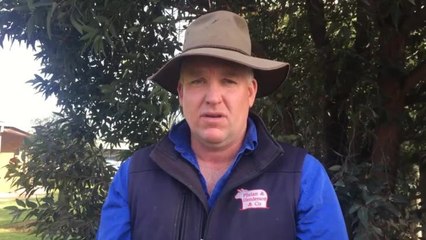 Simon Henderson trim