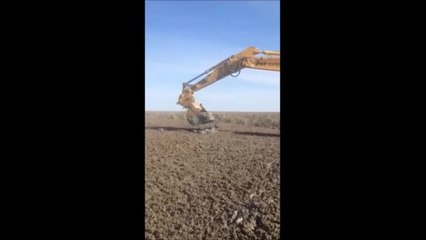 STOCK & LAND: Excavator lifts sheep out of silt