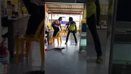 Monitor Lizard Traps Woman on Chairs