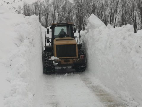 Bitlis'te 8 metreyi geçen karla mücadele çalışması