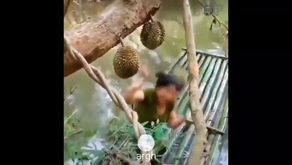 Kompilasi video lucu 10 Februari 2022