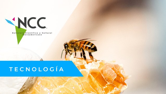 Cambio climático afecta ciclo de hibernación de las abejas