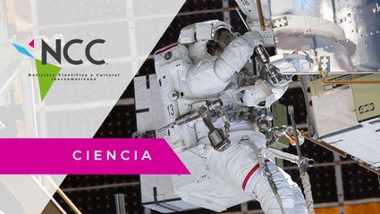Conoce las investigaciones a bordo la misión de reabastecimiento SpaceX-24