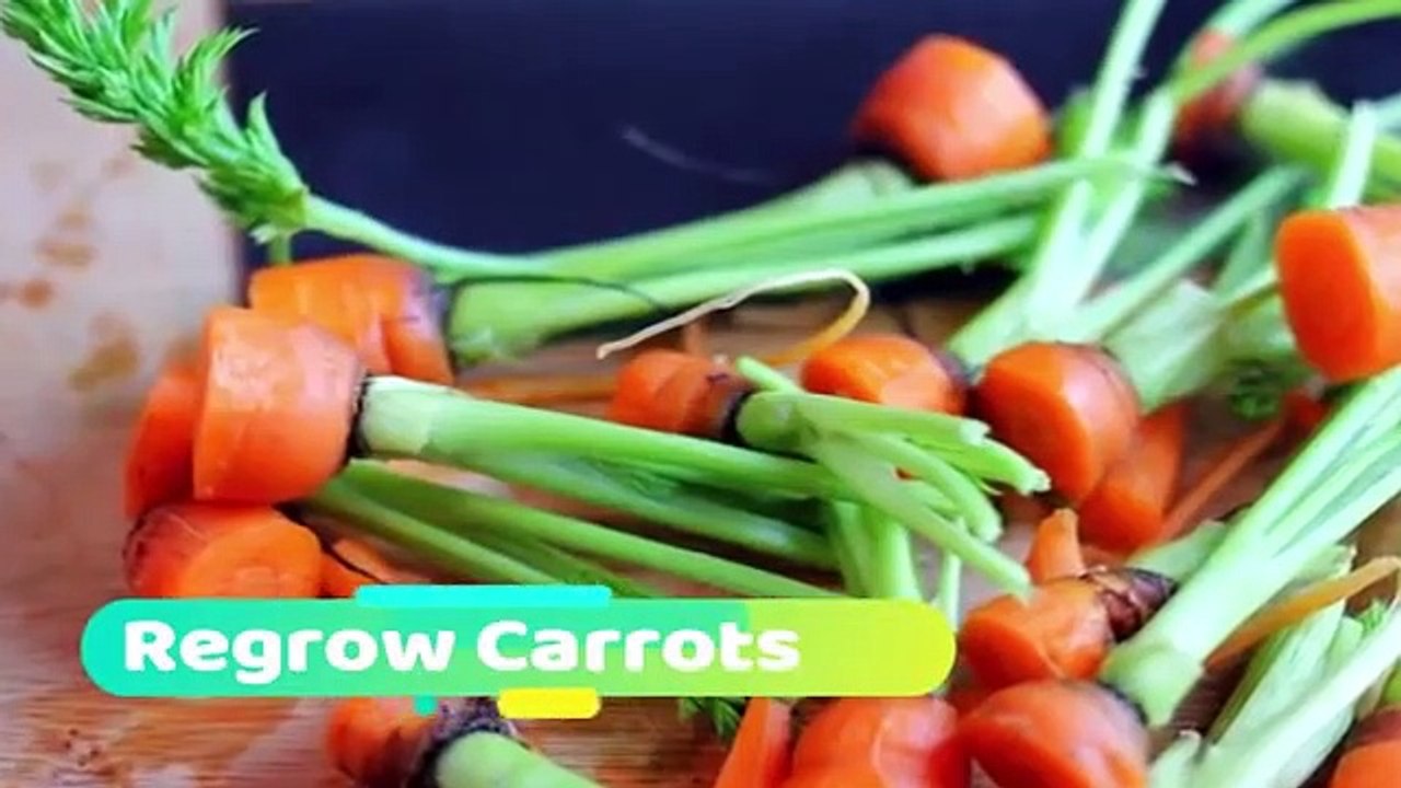 vegetables and herbs You Can Buy Once and Regrow Forever