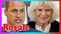 'Pas facile pour lui !' William 'soutient' la reine Camilla m@lgré 'd'énormes querelles familiales'