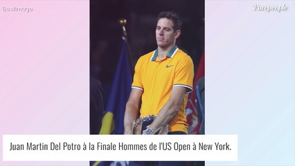 Juan Martin Del Potro fait ses adieux au monde du tennis : le tennisman s'effondre à la fin du match