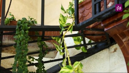 العناية بالنباتات المنزلية الداخلية في فصل الشتاء