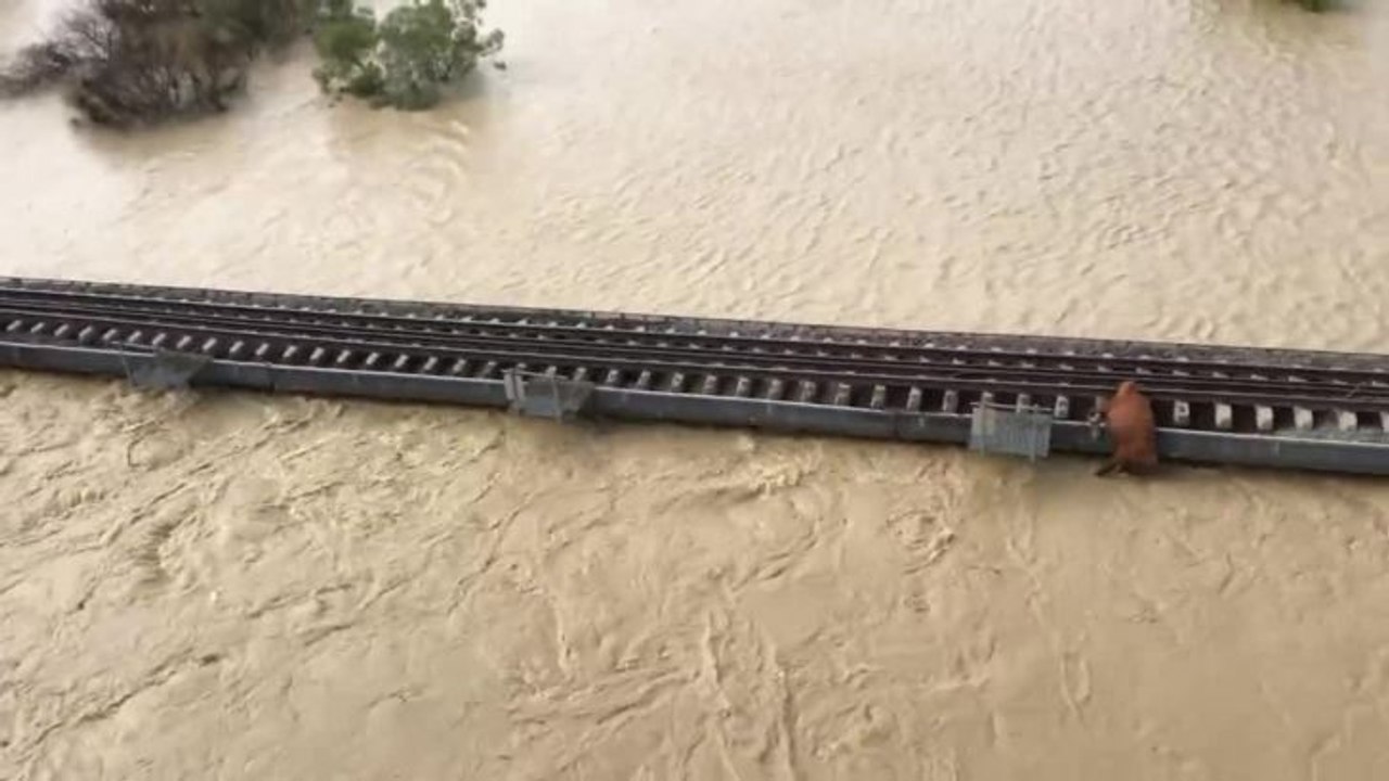 North west Queensland flooding