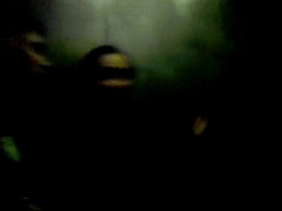 Le 6 mars 2008