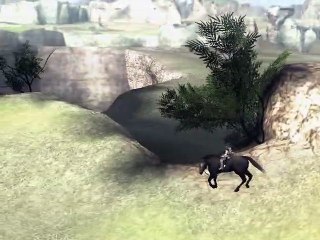 Shadow of the Colossus online multiplayer - ps2