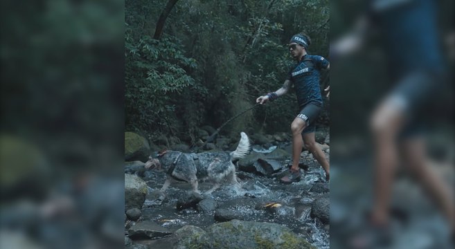 ext-carrera-perros-090222