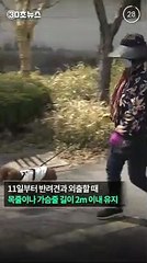 [30초뉴스] 내일부터 외출시 반려견 목줄 2ｍ 이내로 유지해야