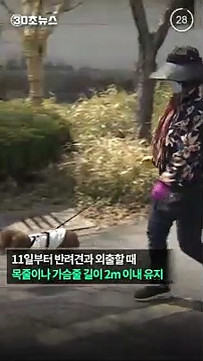 [30초뉴스] 내일부터 외출시 반려견 목줄 2ｍ 이내로 유지해야
