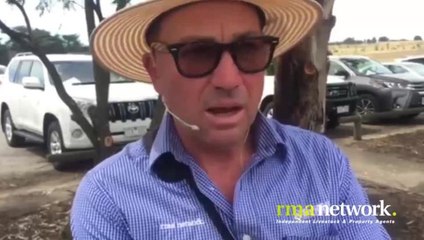 Colac weaner female sale review