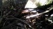 Highland copperhead in Robertson. Video: Illawarra Snake Catcher