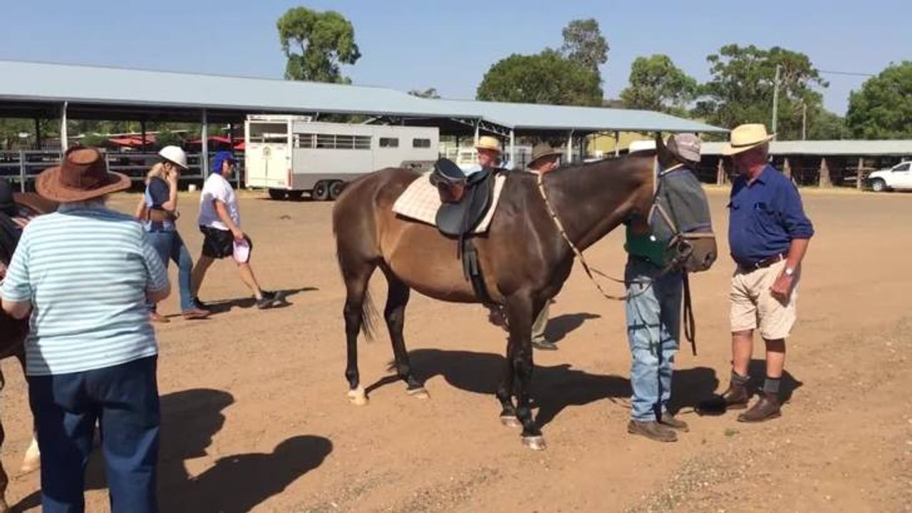 Gunnedah RDA workshop day