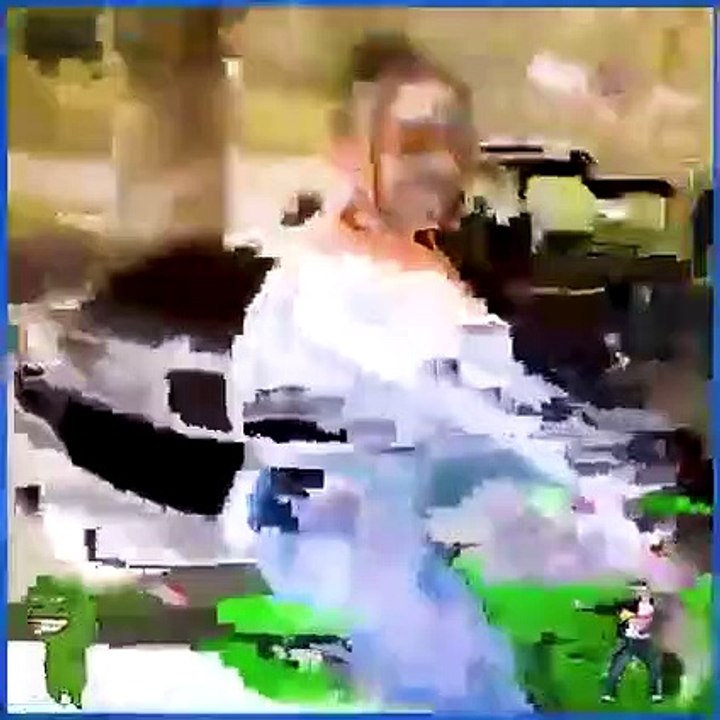 Video Meme kocak